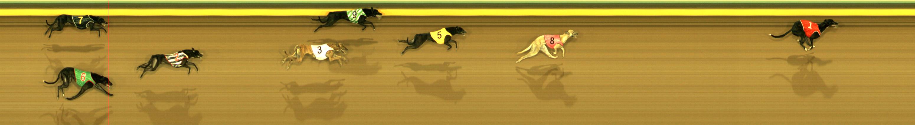 Race result finish photo